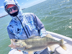Walleye dreams come true here.